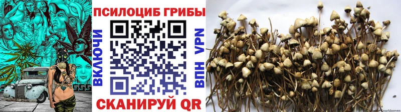 Псилоцибиновые грибы Magic Shrooms  Купить закладки  Тарко-Сале 